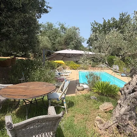 Apartment Deux Pieces Cosy En Corse, Piscine Et Jardin Pittoresque *