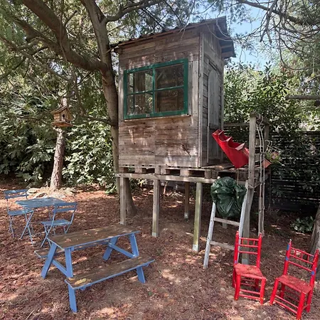 Deux Pieces Cosy En Corse, Piscine Et Jardin Pittoresque Apartment