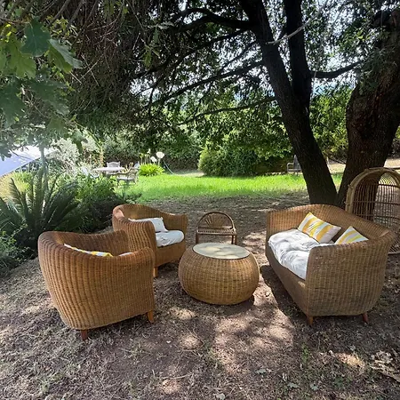 Deux Pieces Cosy En Corse, Piscine Et Jardin Pittoresque Apartment Venzolasca