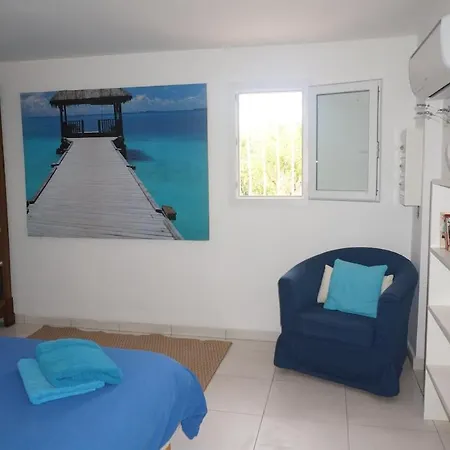 Deux Pieces Cosy En Corse, Piscine Et Jardin Pittoresque Apartment Venzolasca