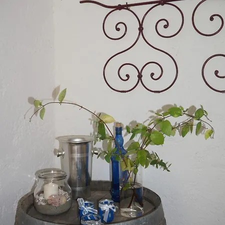 Apartment Deux Pieces Cosy En Corse, Piscine Et Jardin Pittoresque *