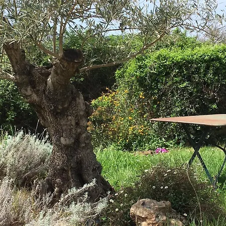 Apartment Deux Pieces Cosy En Corse, Piscine Et Jardin Pittoresque