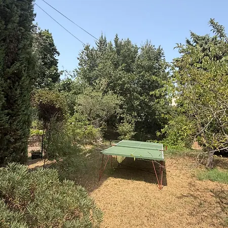 Deux Pieces Cosy En Corse, Piscine Et Jardin Pittoresque