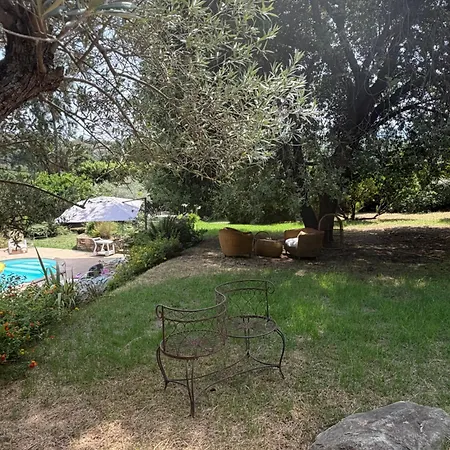 Deux Pieces Cosy En Corse, Piscine Et Jardin Pittoresque * Venzolasca