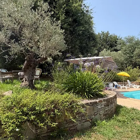 Deux Pieces Cosy En Corse, Piscine Et Jardin Pittoresque Apartment *
